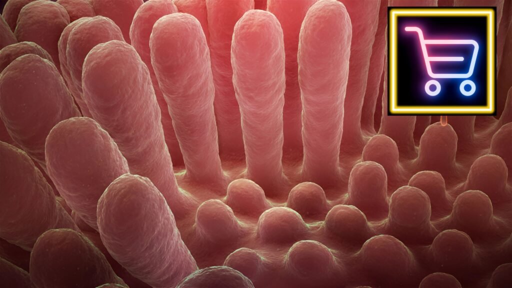 A picture shows an inflamed and damaged villi in celiac disease